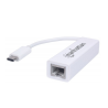 Adaptador Ethernet-Tipo C Manhattan 507858